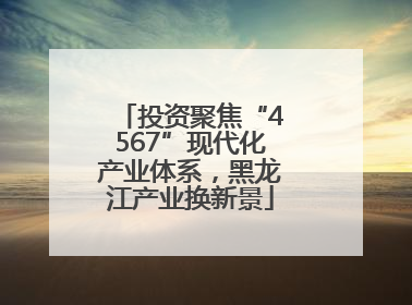 投资聚焦“4567”现代化产业体系，黑龙江产业换新景