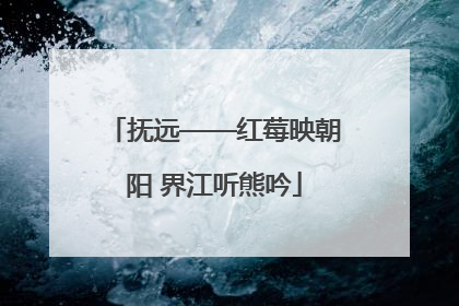 抚远——红莓映朝阳 界江听熊吟