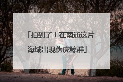 拍到了！在南通这片海域出现伪虎鲸群