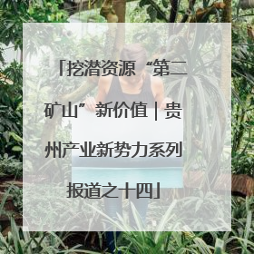 挖潜资源“第二矿山”新价值｜贵州产业新势力系列报道之十四