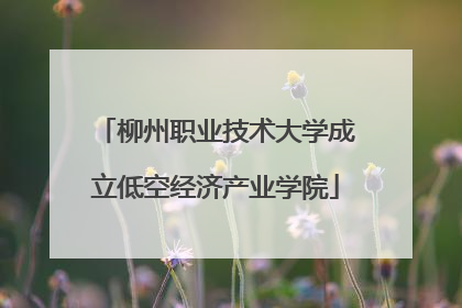 柳州职业技术大学成立低空经济产业学院