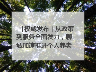 权威发布｜从政策到服务全面发力，聊城加速推进个人养老金制度落地
