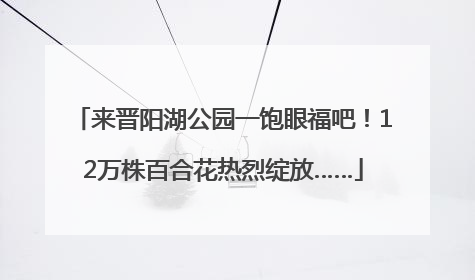 来晋阳湖公园一饱眼福吧！12万株百合花热烈绽放……