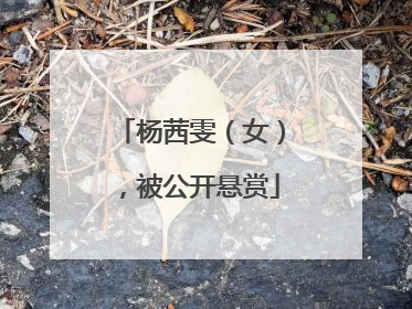 杨茜雯（女），被公开悬赏