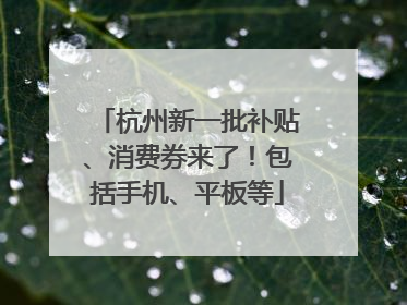 杭州新一批补贴、消费券来了！包括手机、平板等