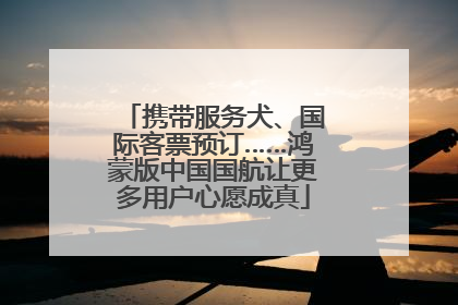 携带服务犬、国际客票预订……鸿蒙版中国国航让更多用户心愿成真