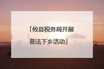 攸县税务局开展普法下乡活动