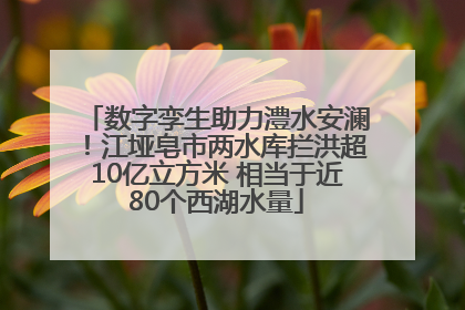 数字孪生助力澧水安澜！江垭皂市两水库拦洪超10亿立方米 相当于近80个西湖水量