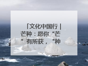 文化中国行｜芒种：愿你“芒”有所获，“种”有所得