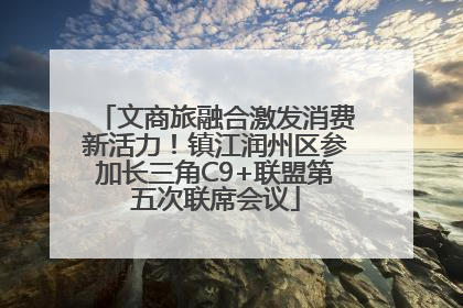 文商旅融合激发消费新活力！镇江润州区参加长三角C9+联盟第五次联席会议