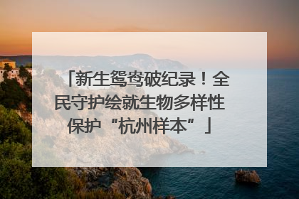 新生鸳鸯破纪录！全民守护绘就生物多样性保护“杭州样本”