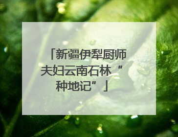 新疆伊犁厨师夫妇云南石林“种地记”