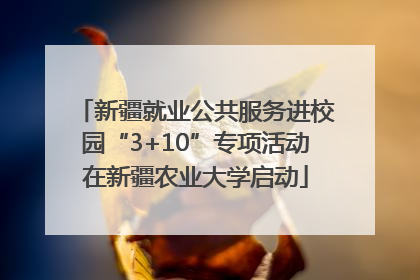 新疆就业公共服务进校园“3+10”专项活动在新疆农业大学启动