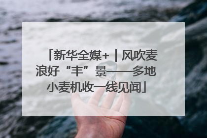 新华全媒+｜风吹麦浪好“丰”景——多地小麦机收一线见闻
