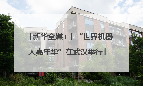 新华全媒+丨“世界机器人嘉年华”在武汉举行