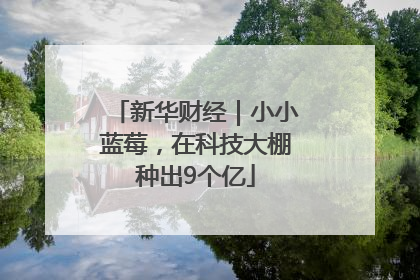 新华财经｜小小蓝莓，在科技大棚种出9个亿