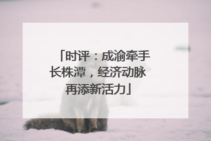 时评：成渝牵手长株潭，经济动脉再添新活力