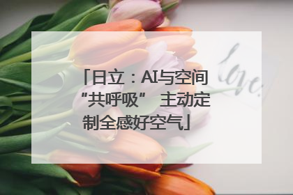 日立：AI与空间“共呼吸” 主动定制全感好空气