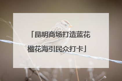 昆明商场打造蓝花楹花海引民众打卡