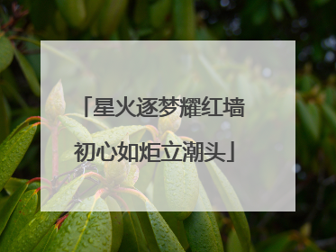 星火逐梦耀红墙 初心如炬立潮头