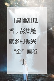 晨曦甜瓜香，彭集绘就乡村振兴“金”画卷