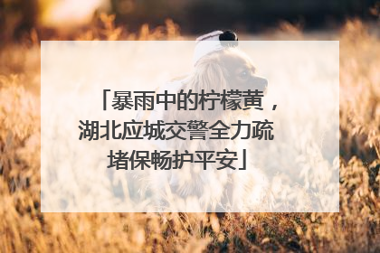 暴雨中的柠檬黄，湖北应城交警全力疏堵保畅护平安