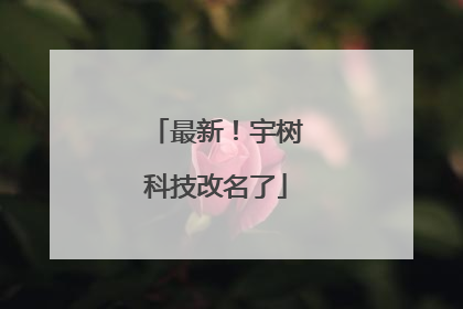 最新！宇树科技改名了