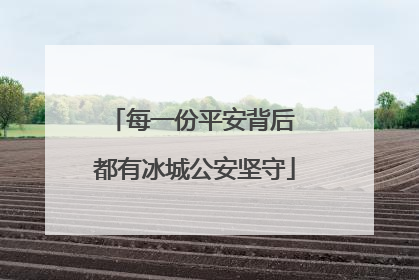 每一份平安背后 都有冰城公安坚守