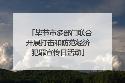 毕节市多部门联合开展打击和防范经济犯罪宣传日活动