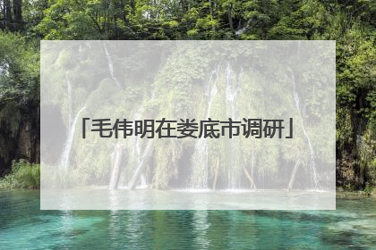 毛伟明在娄底市调研