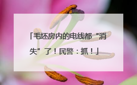 毛坯房内的电线都“消失”了！民警：抓！