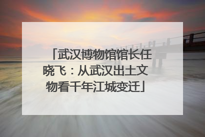 武汉博物馆馆长任晓飞：从武汉出土文物看千年江城变迁