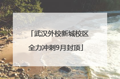 武汉外校新城校区全力冲刺9月封顶