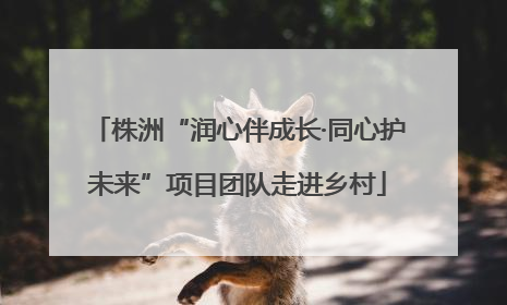 株洲“润心伴成长·同心护未来”项目团队走进乡村