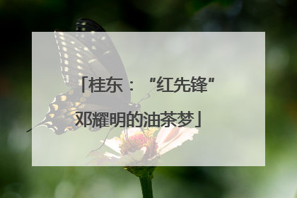 桂东：“红先锋”邓耀明的油茶梦