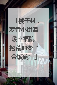 楼子村：麦香小饼温暖幸福院 撂荒地变“金饭碗”