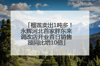 榴莲卖出1吨多！永辉河北首家胖东来调改店开业首日销售额同比增10倍