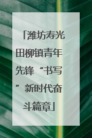 潍坊寿光田柳镇青年先锋“书写”新时代奋斗篇章