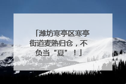 潍坊寒亭区寒亭街道麦熟归仓，不负当“夏”！
