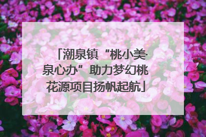 潮泉镇“桃小美·泉心办”助力梦幻桃花源项目扬帆起航