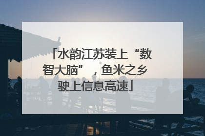 水韵江苏装上“数智大脑”，鱼米之乡驶上信息高速