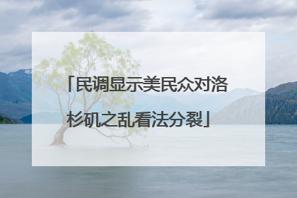 民调显示美民众对洛杉矶之乱看法分裂