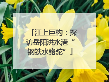 江上巨构：探访岳阳洪水港“钢铁水骆驼”