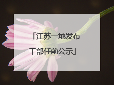 江苏一地发布干部任前公示