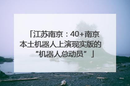 江苏南京：40+南京本土机器人上演现实版的“机器人总动员”