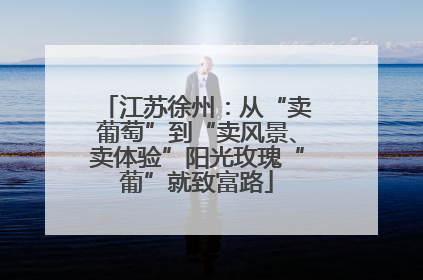 江苏徐州：从“卖葡萄”到“卖风景、卖体验”阳光玫瑰“葡”就致富路