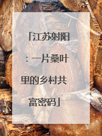 江苏射阳：一片桑叶里的乡村共富密码
