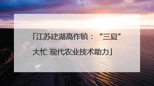 江苏建湖高作镇：“三夏”大忙 现代农业技术助力