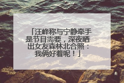 汪峰称与宁静牵手是节目需要，深夜晒出女友森林北合照：我俩好着呢！