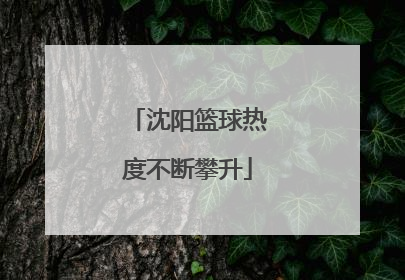 沈阳篮球热度不断攀升